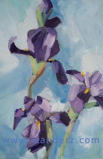 painting iris_II