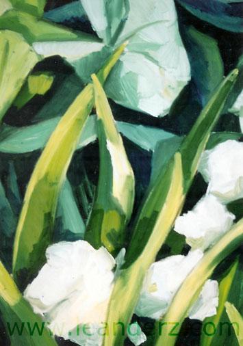 painting rabatten