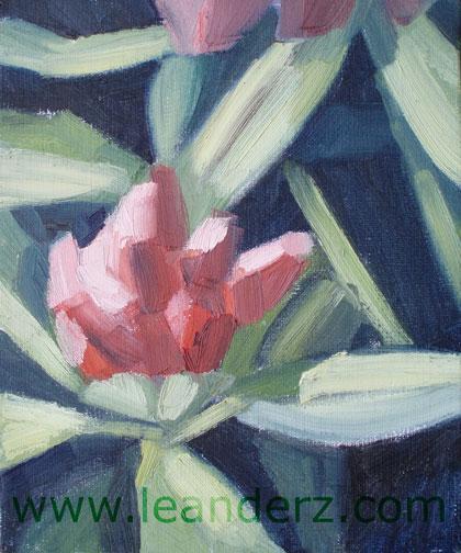 painting rhododendron_II