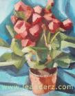 begonia_III