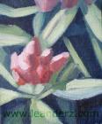 rhododendron_II