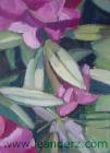 rhododendron_VI