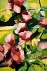 stockrosor_I